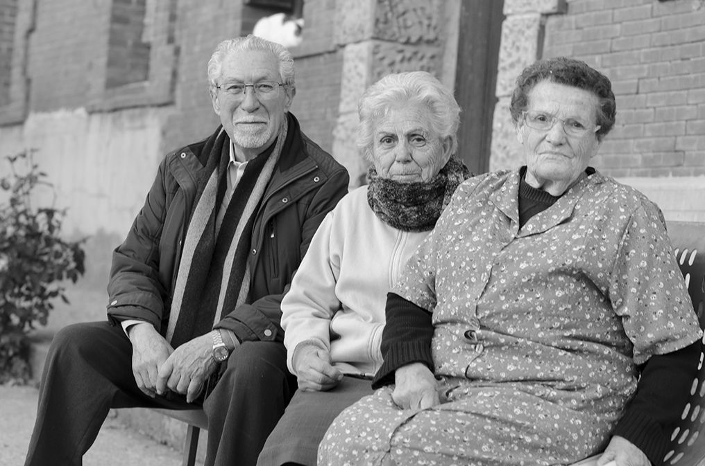 Fotografía de la galería de imágenes con id: 1013